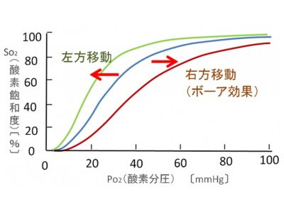 図1